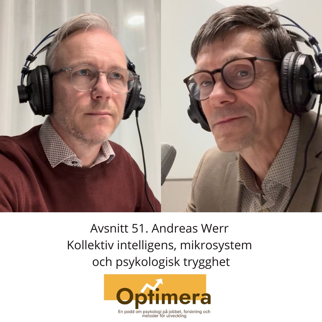 Patrik Nyström and Andreas Werr