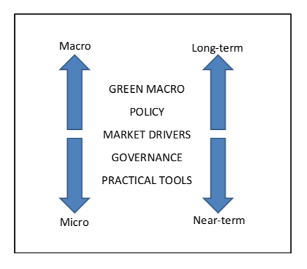 MFS framework.png