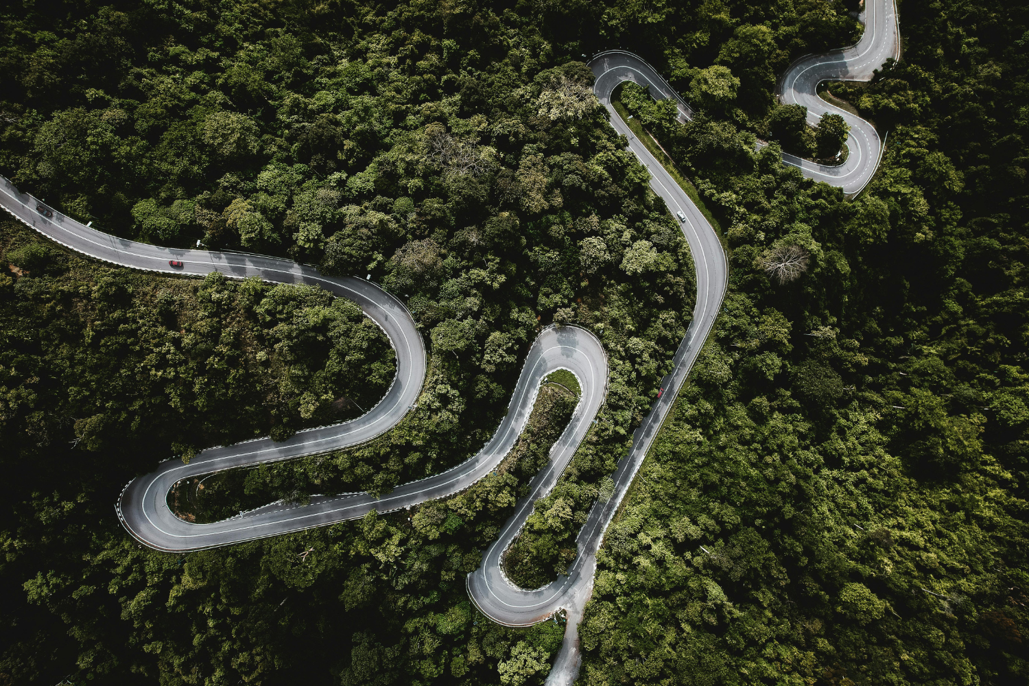 Aerial, top-down shot of woods with a road winding through it, looking like it could be a river