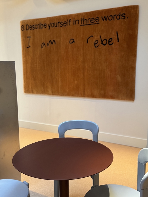 Dan Wolgers: I am a rebel (2024)