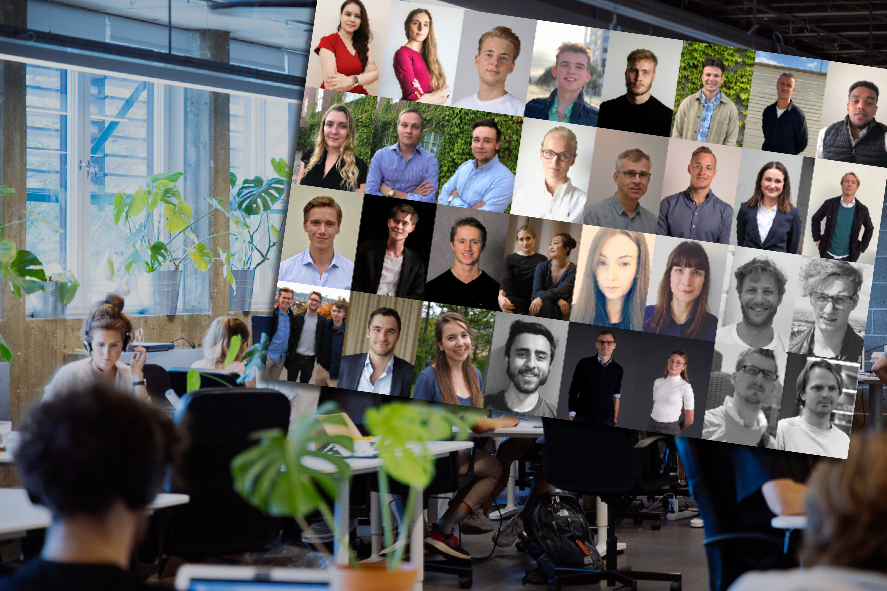 pressrelease montage