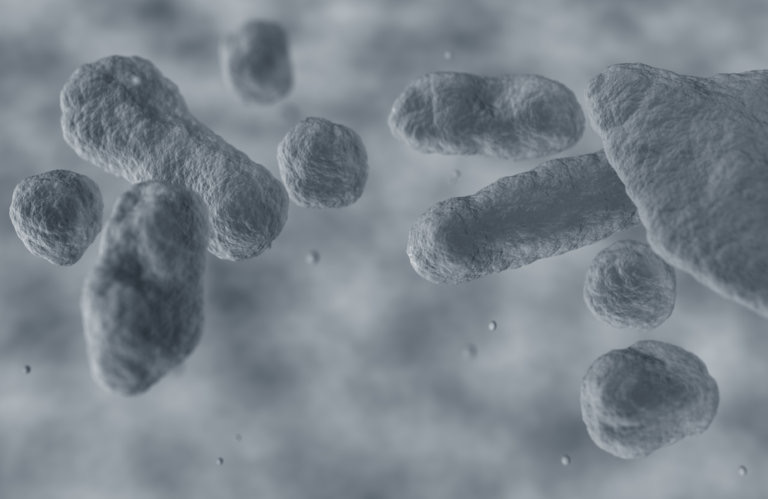 Catastrophic risks report header