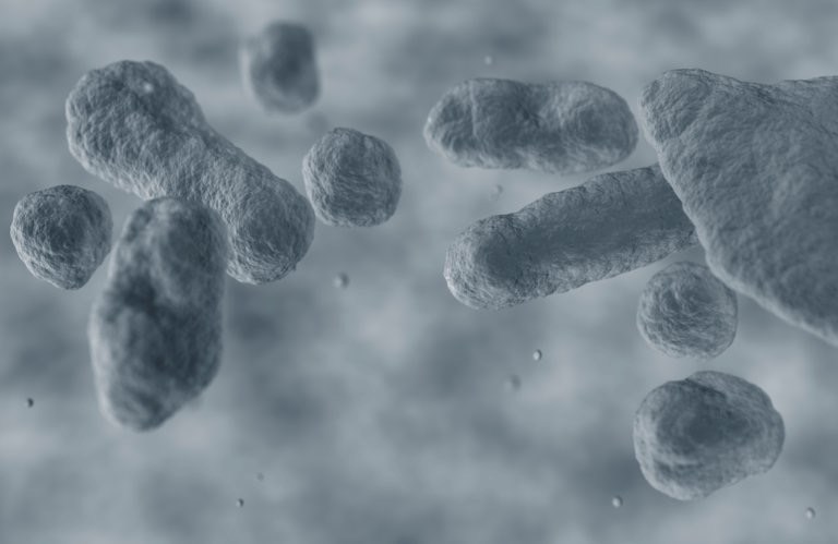 Catastrophic risks report header