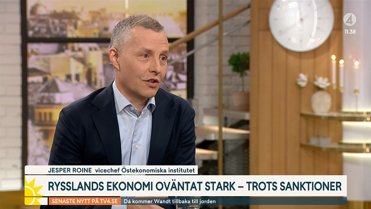 Screen-shot photo of Jesper Roine during an interview at Tv4 Nyhetsmorgon