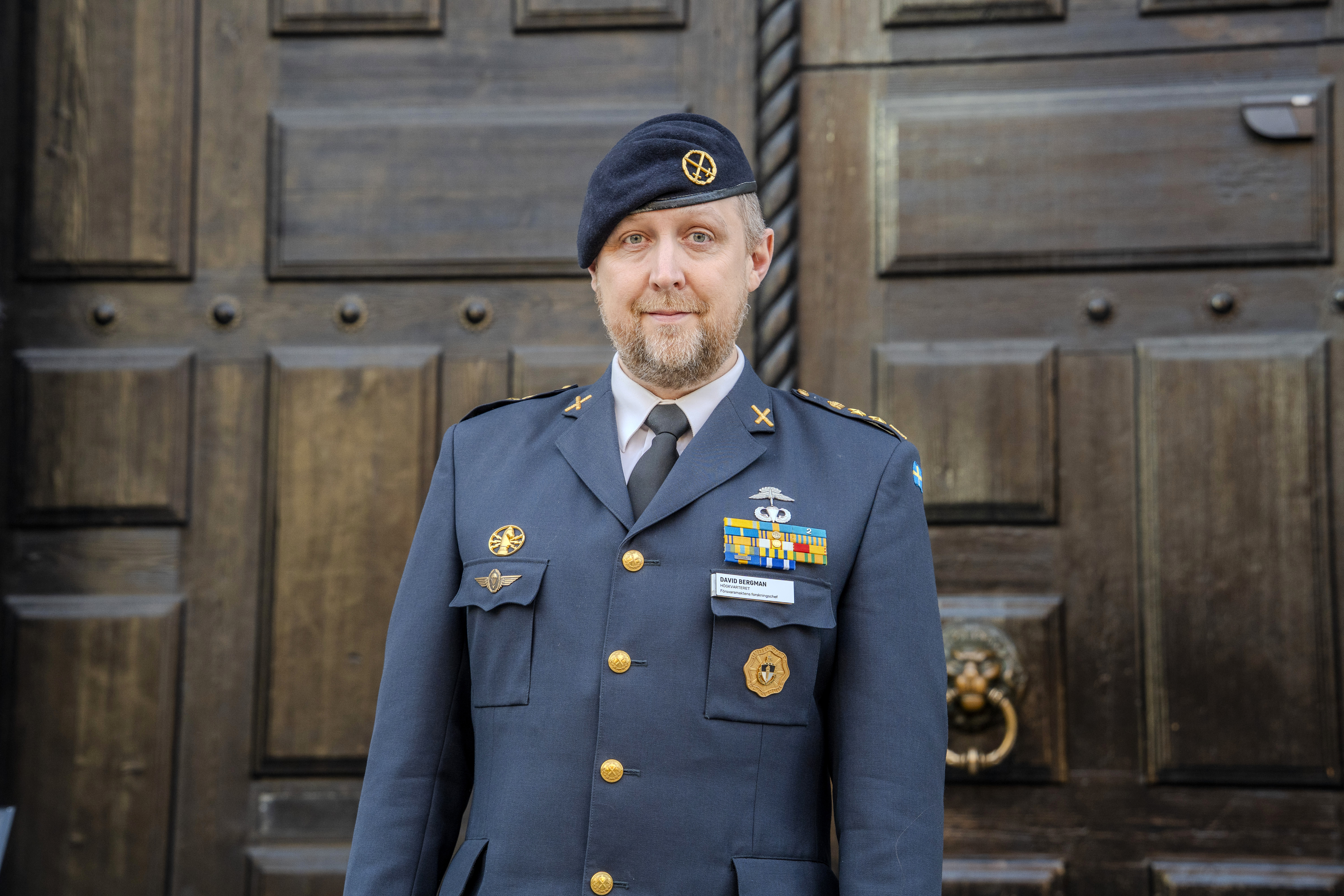 David bergman