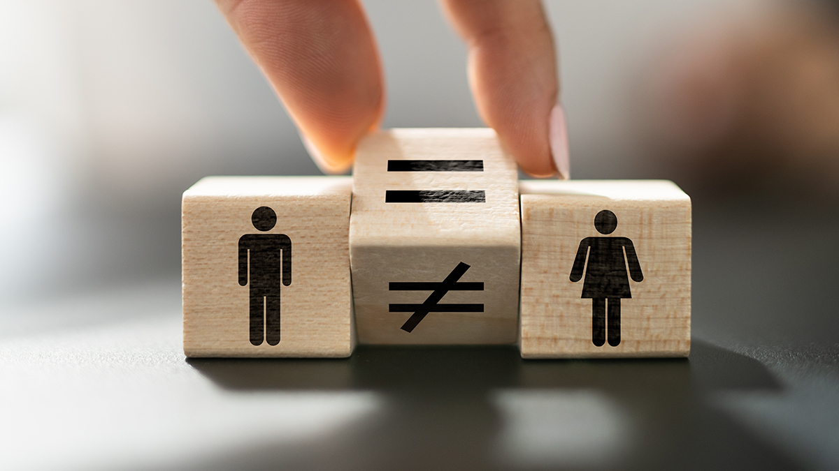 Gender Equality And Parity Law. Equal Pay
