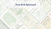 Ägarstyrning