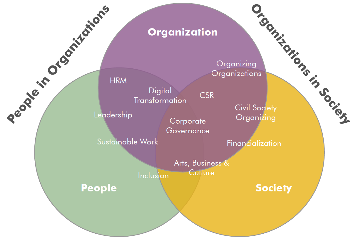 Visualization of DMO Research