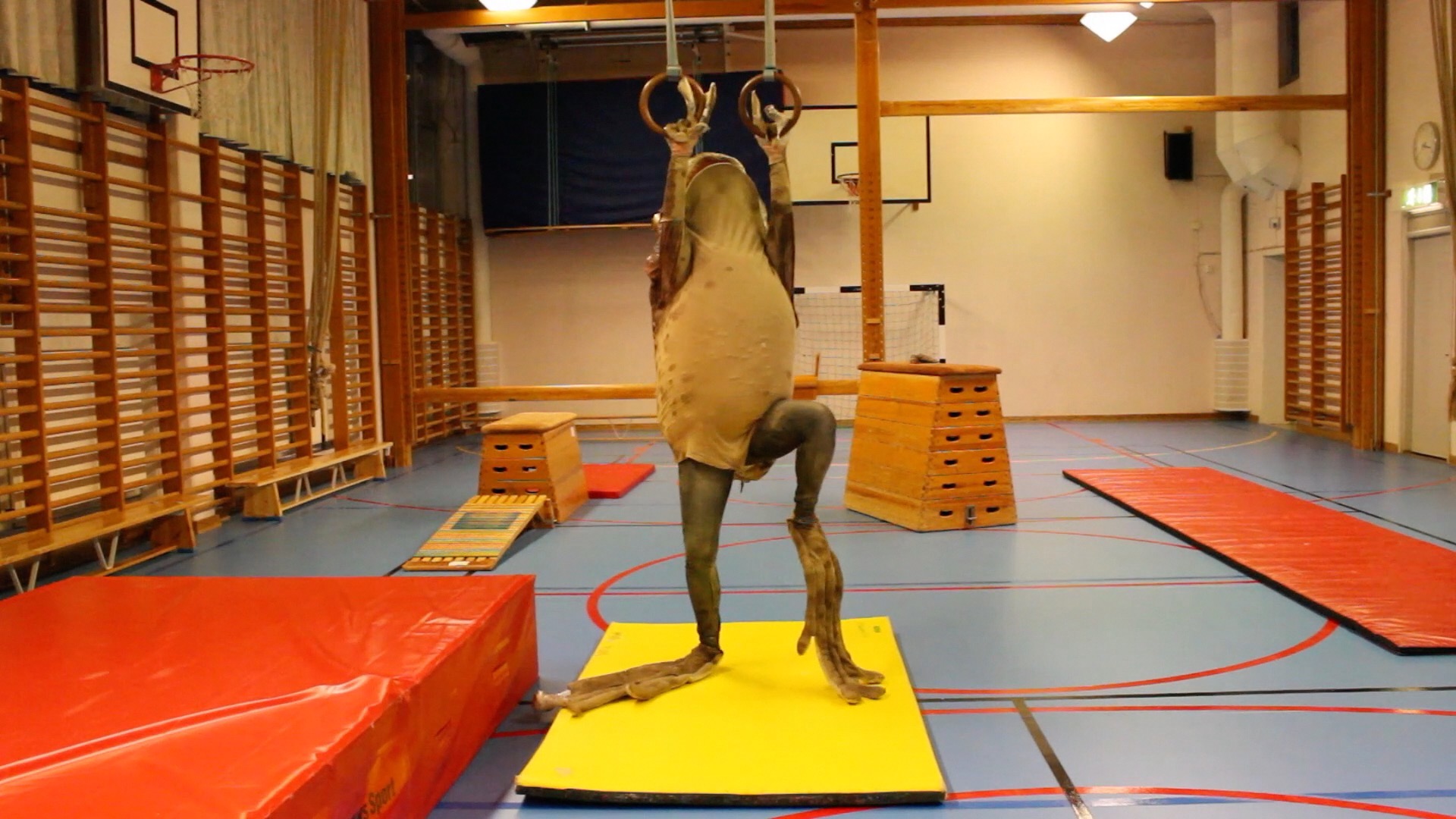  Still from Ingela Ihrman's video The Toad, showing the artist in a toad costume — typed on whichever block/location holds the hero image.