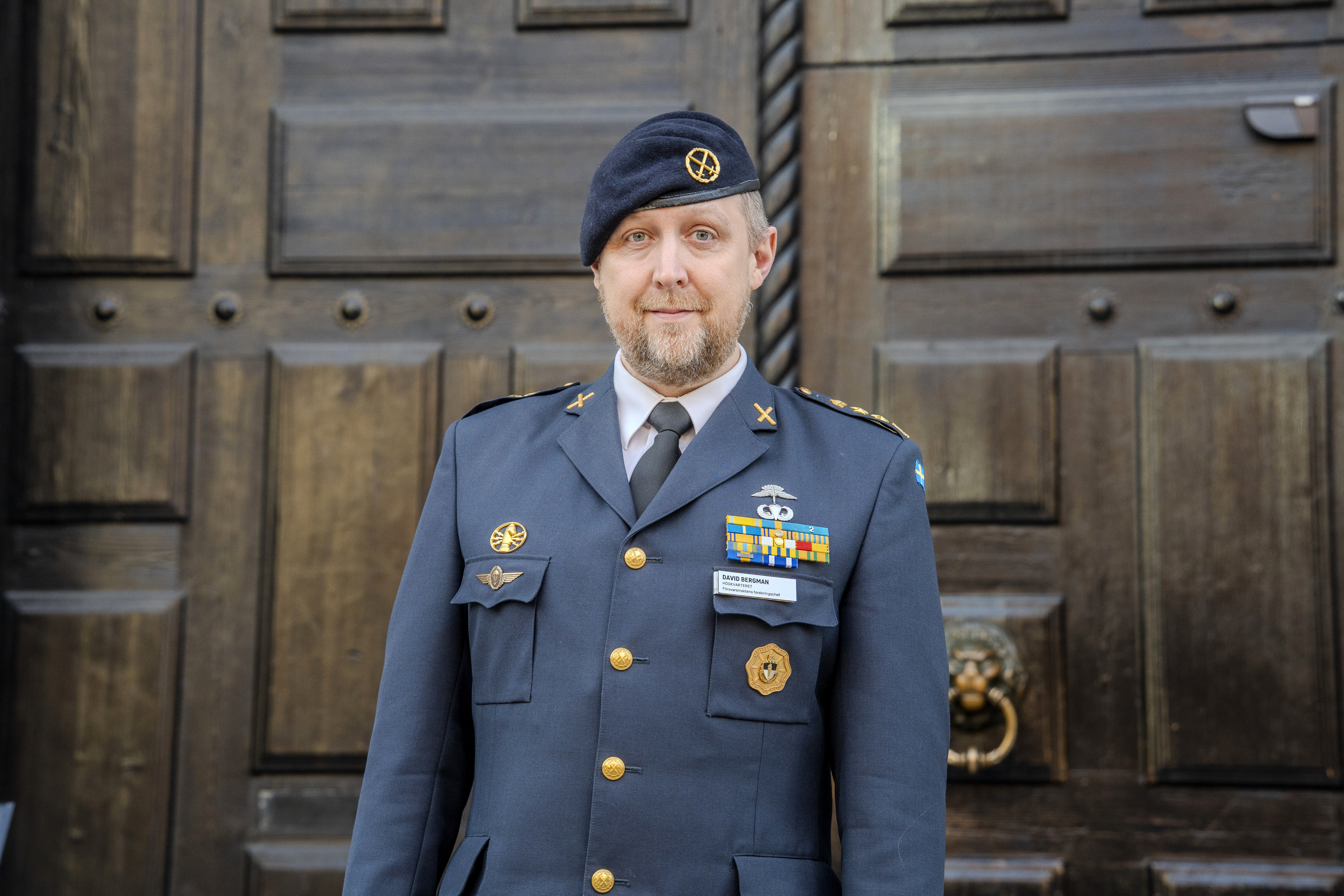 David Bergman