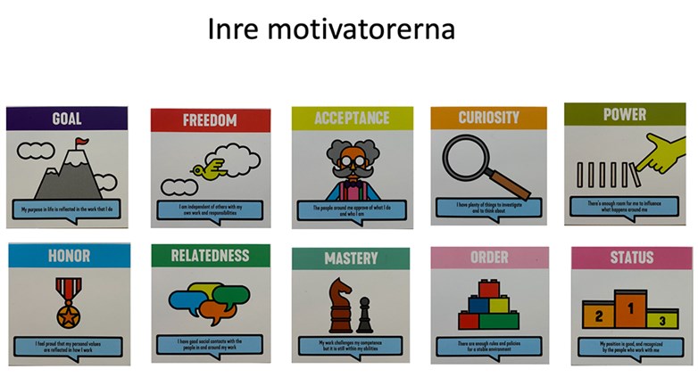 An overview showing inner motivations; Goal, Freedom, Acceptance, Curiosity, Power, Honor, Relatedness, Mastery, Order, Status