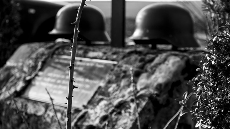 Two WW2 helmet surrounded by nature