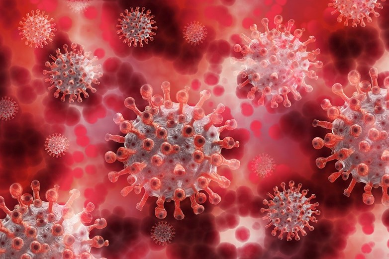 Portrait of coronavirus