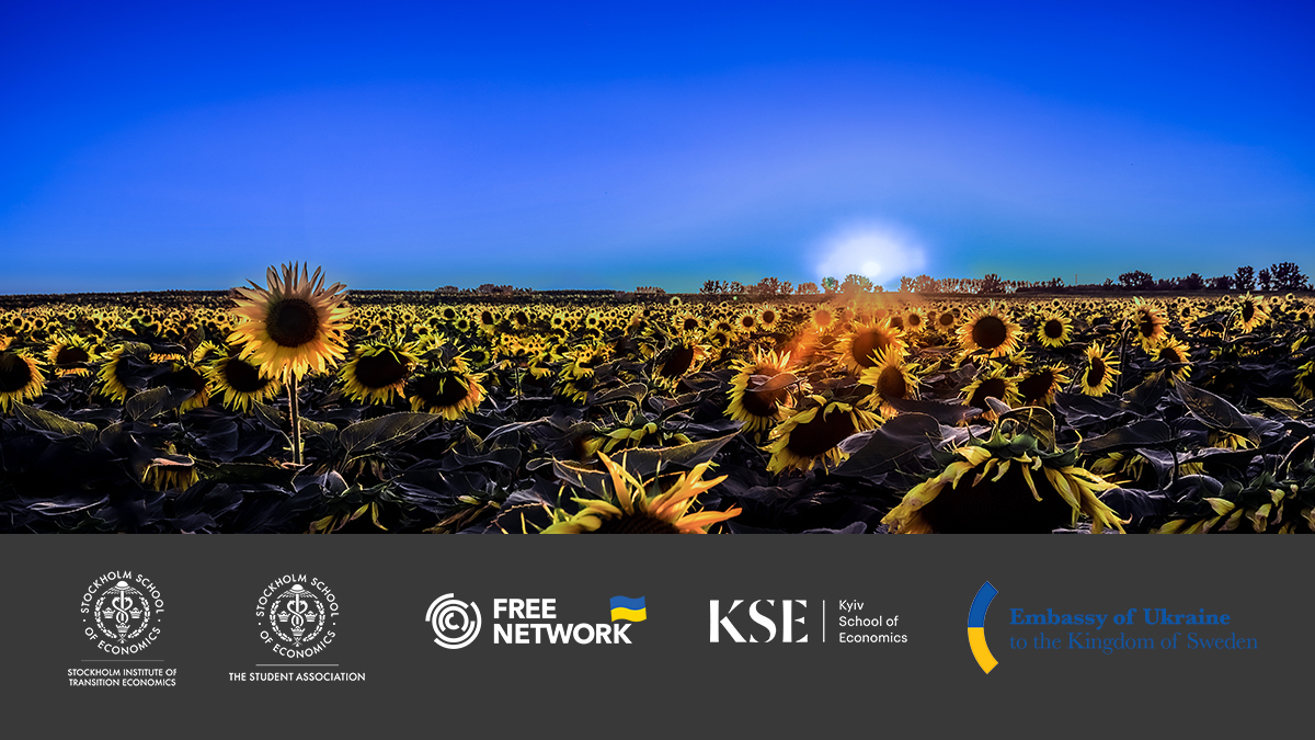 A field full of sun flowers.