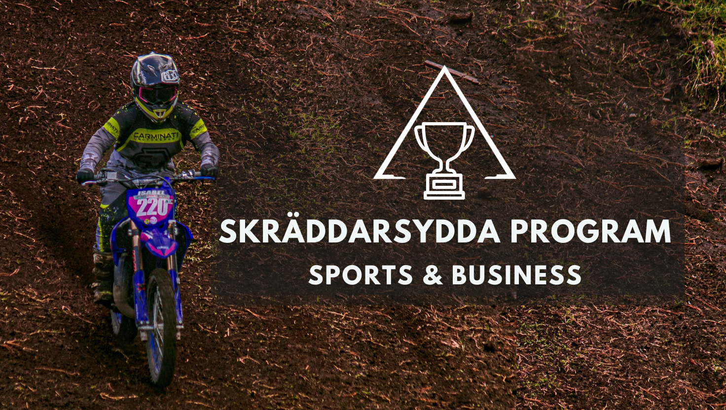 Skräddarsydda program