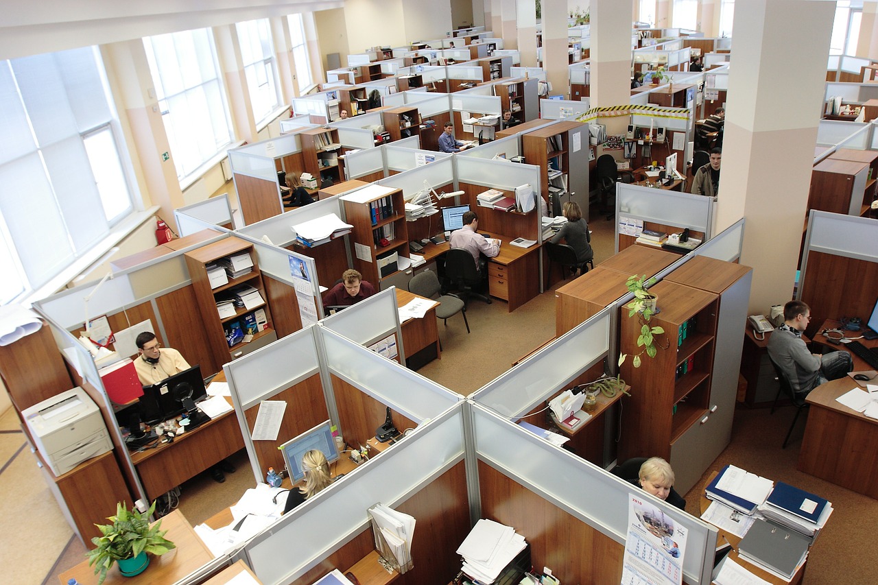 Workers at desks in office cubicles