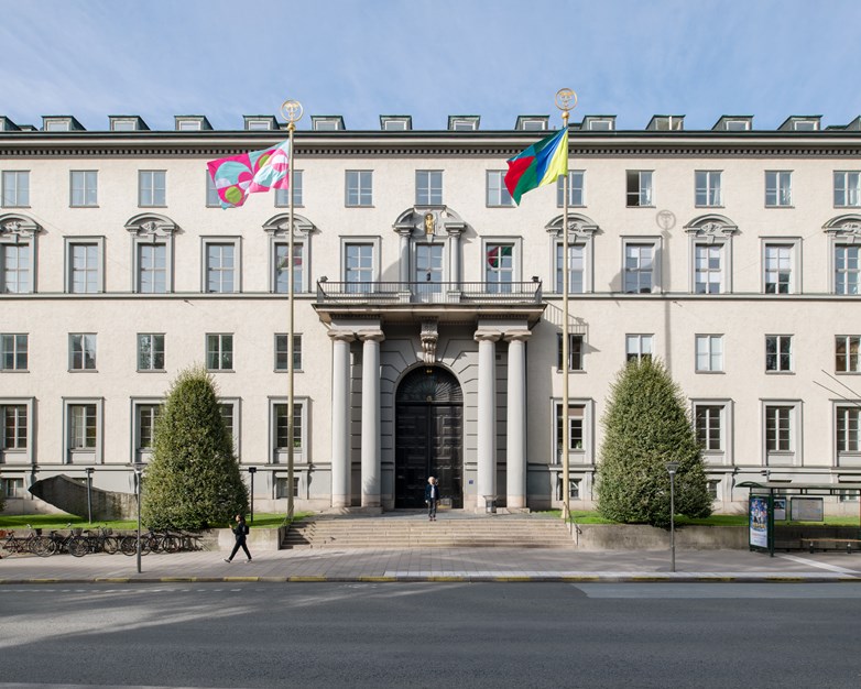 Jacob Dahlgren´s flags outside the school