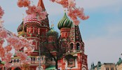 The Saint Basil's Cathedral