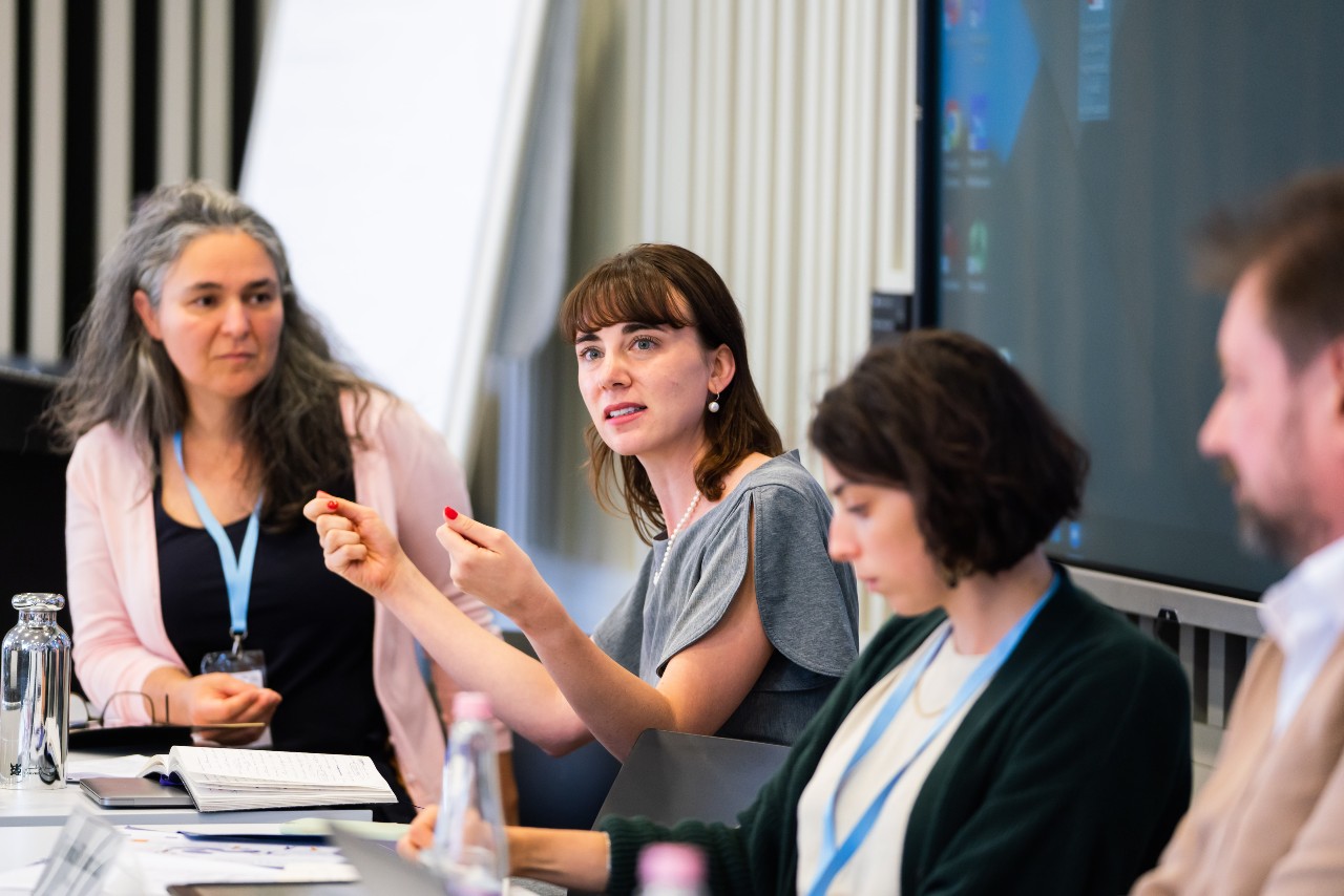 laurence Romani Sarah Ganty Cristian Pirvulescu panel at CIVICA research conference