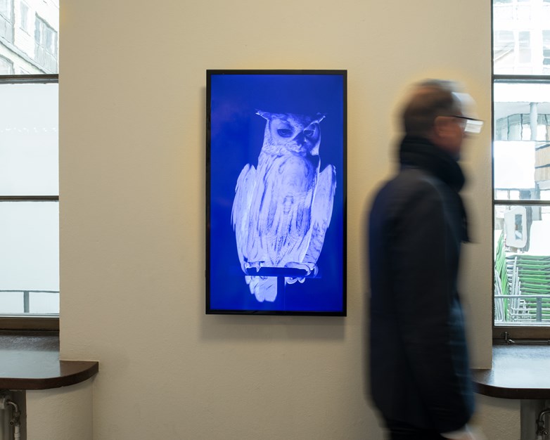 An Lisegaard