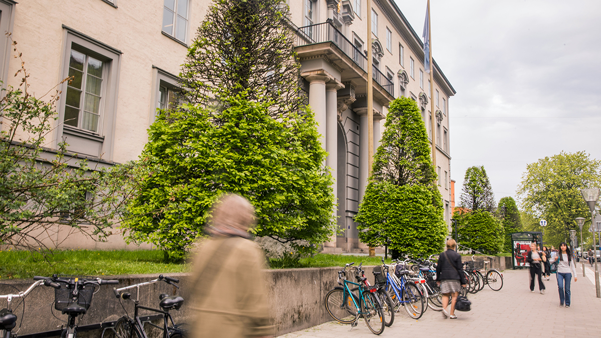 Students rushing into SSE building
