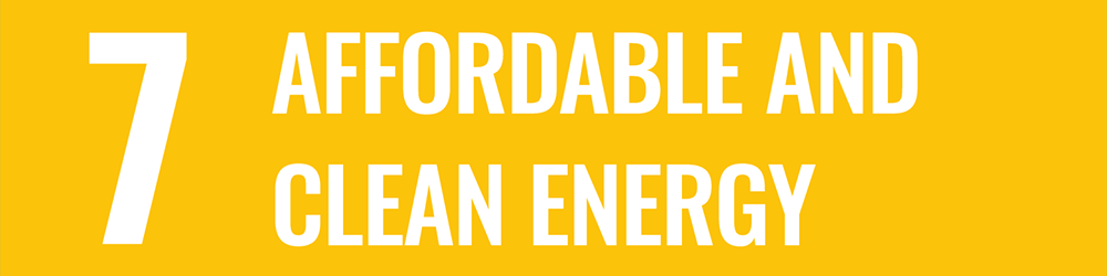 Affordable and clean energy
