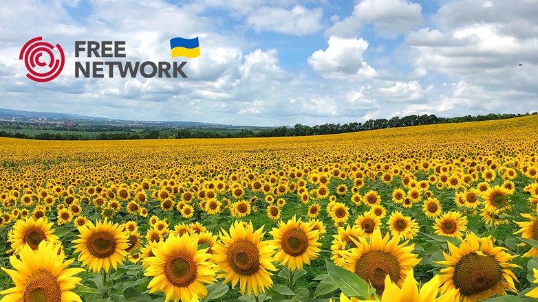 A field full of sunflowers.