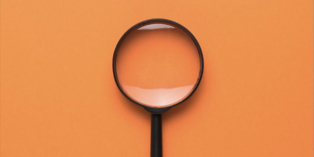 MicrosoftTeams-image (49) copy.jpeg