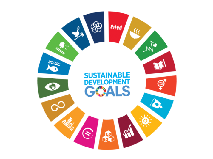 Colorful wheel with the sustainability goals