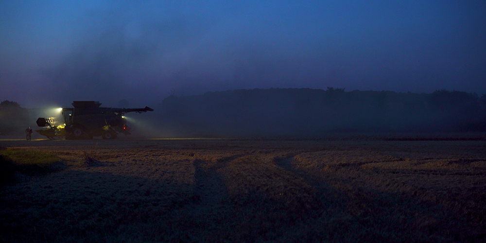 Still from Jenny Holt's film The Great Bear, showing a harvest scene
