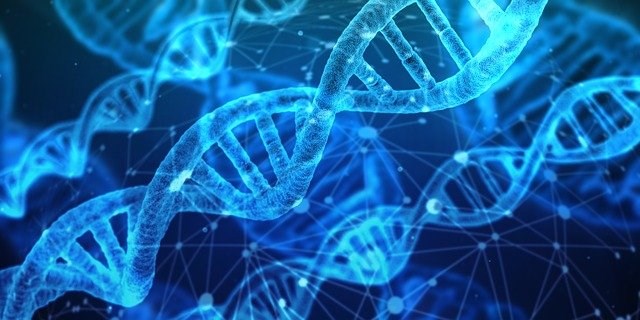 DNA sequence in blue