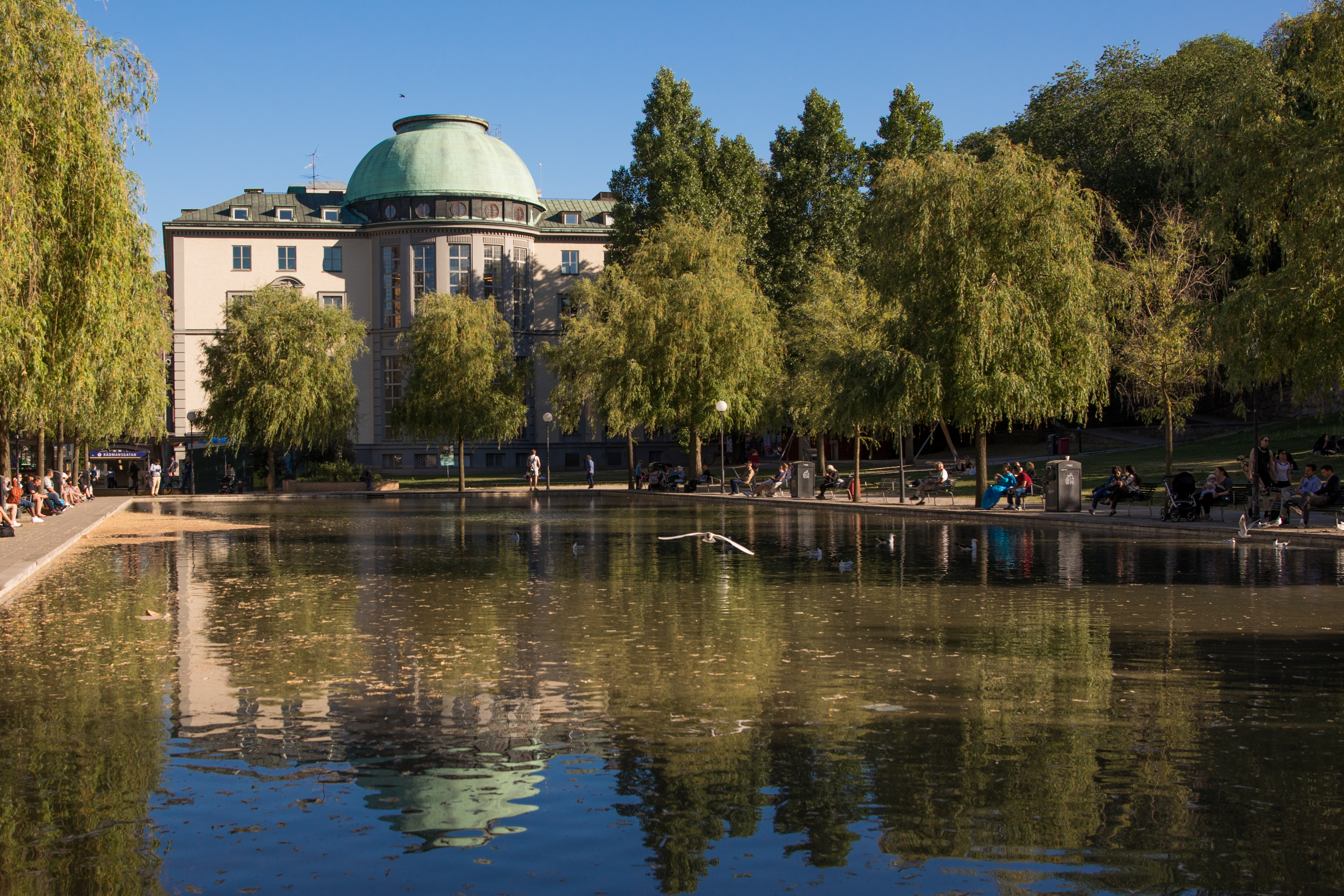 Photo of SSE main building summer