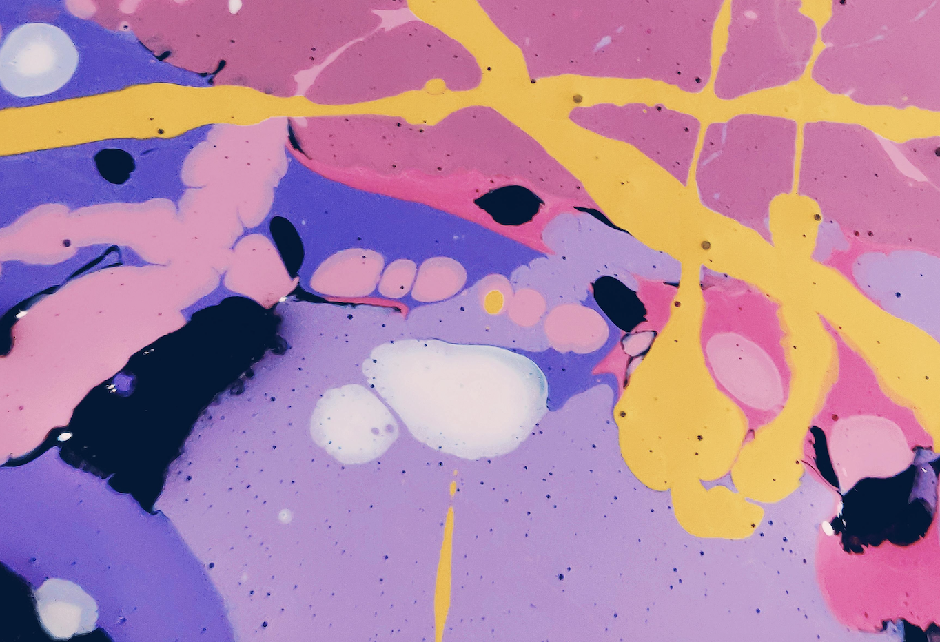 Skärmavbild 2024-03-04 kl. 16.55.35.png