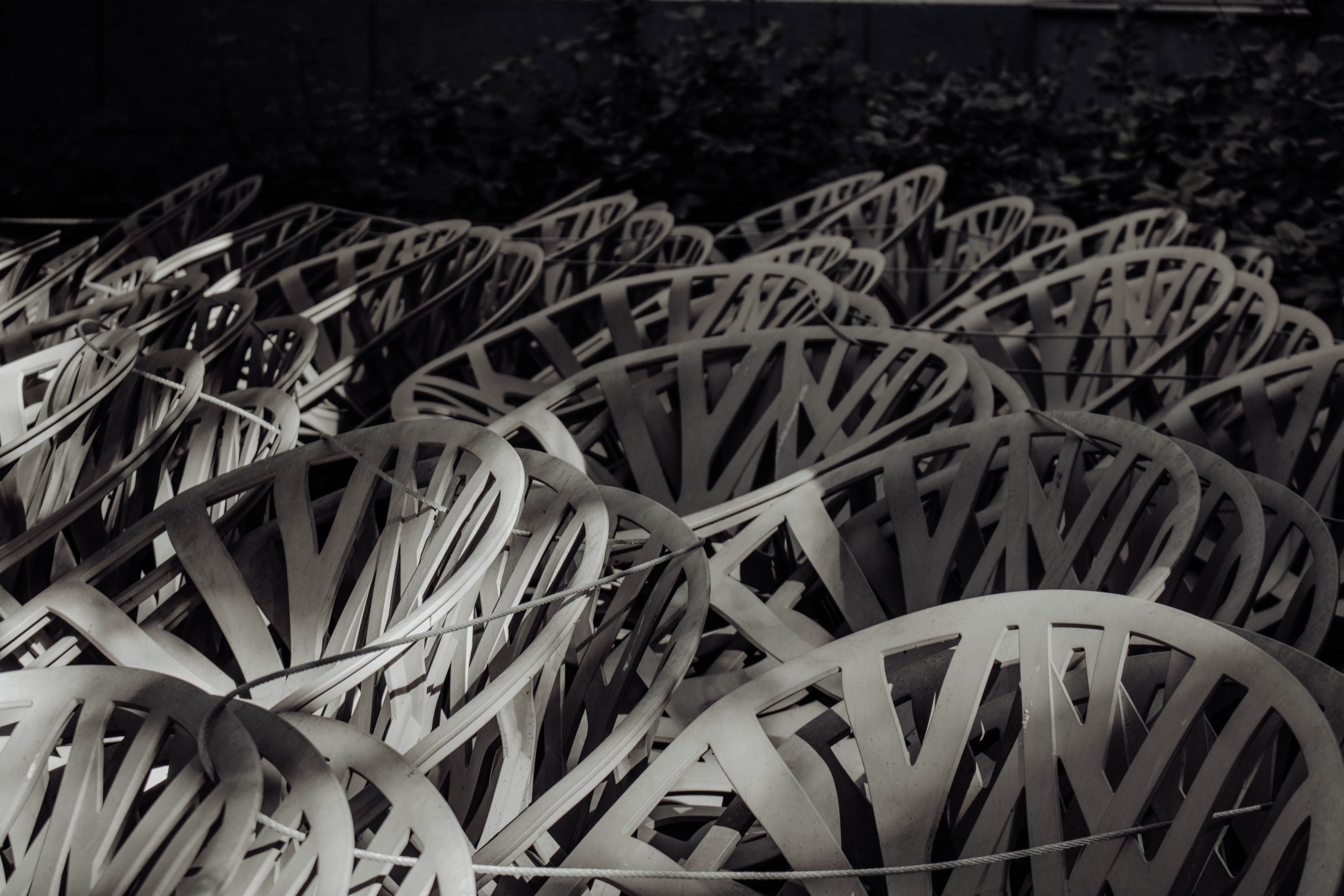 White and brown plant leaves