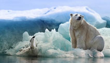 Genre image of a penguin and a polar bear.