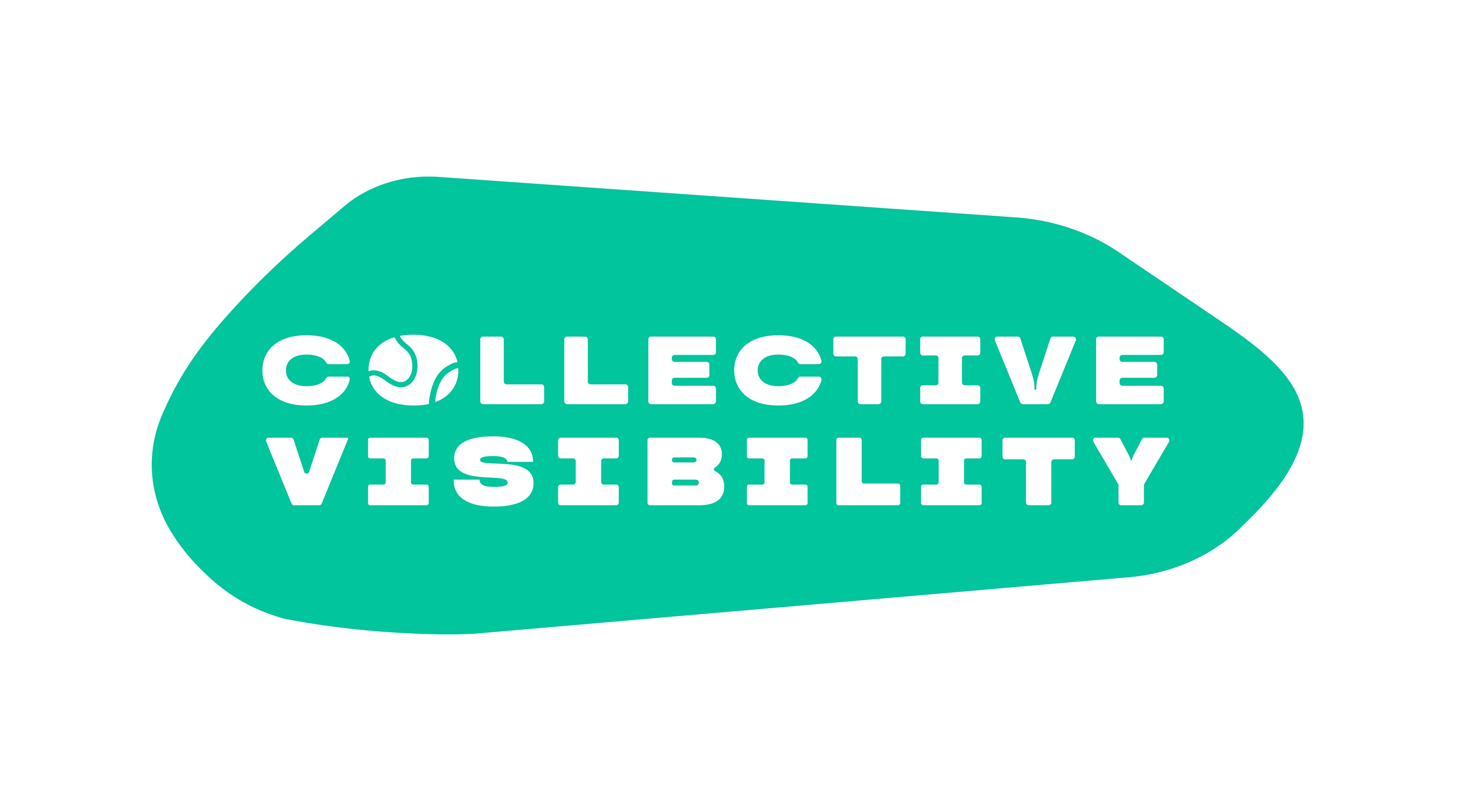 Collective Visbility logo