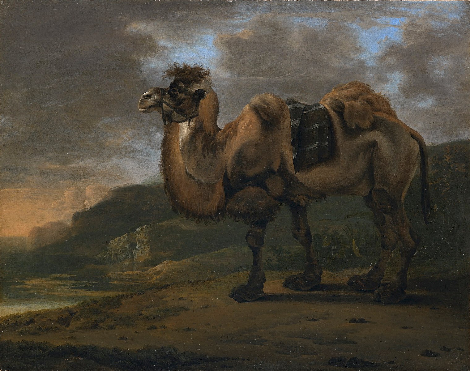 Kameel_van_Jan_Asselijn.jpg