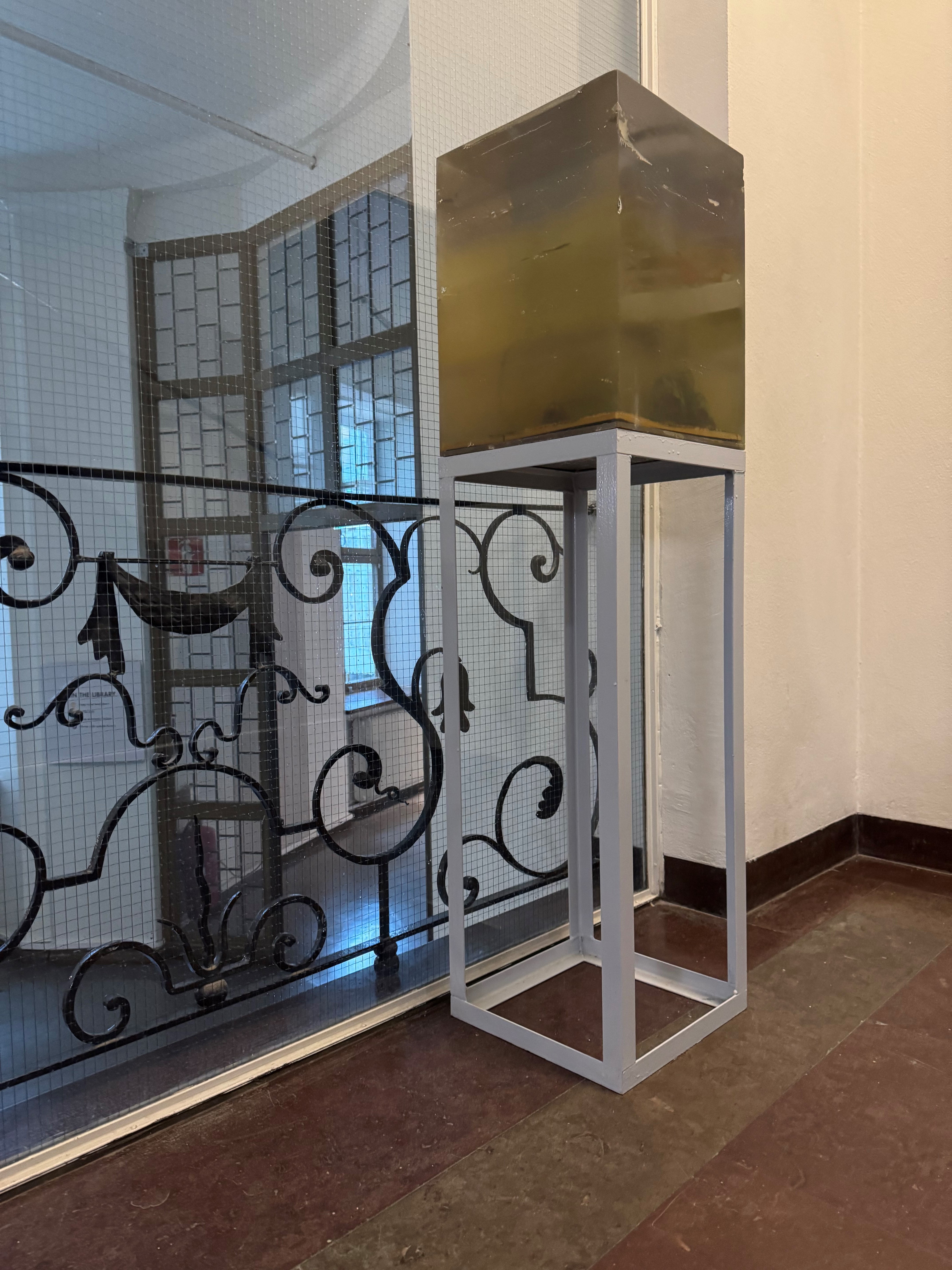 Moa Israelsson Forsberg