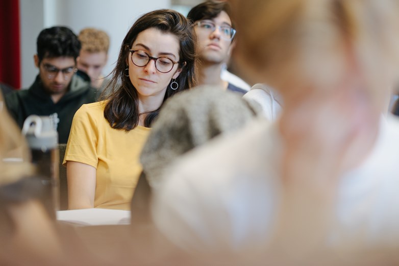 Peer effects in education