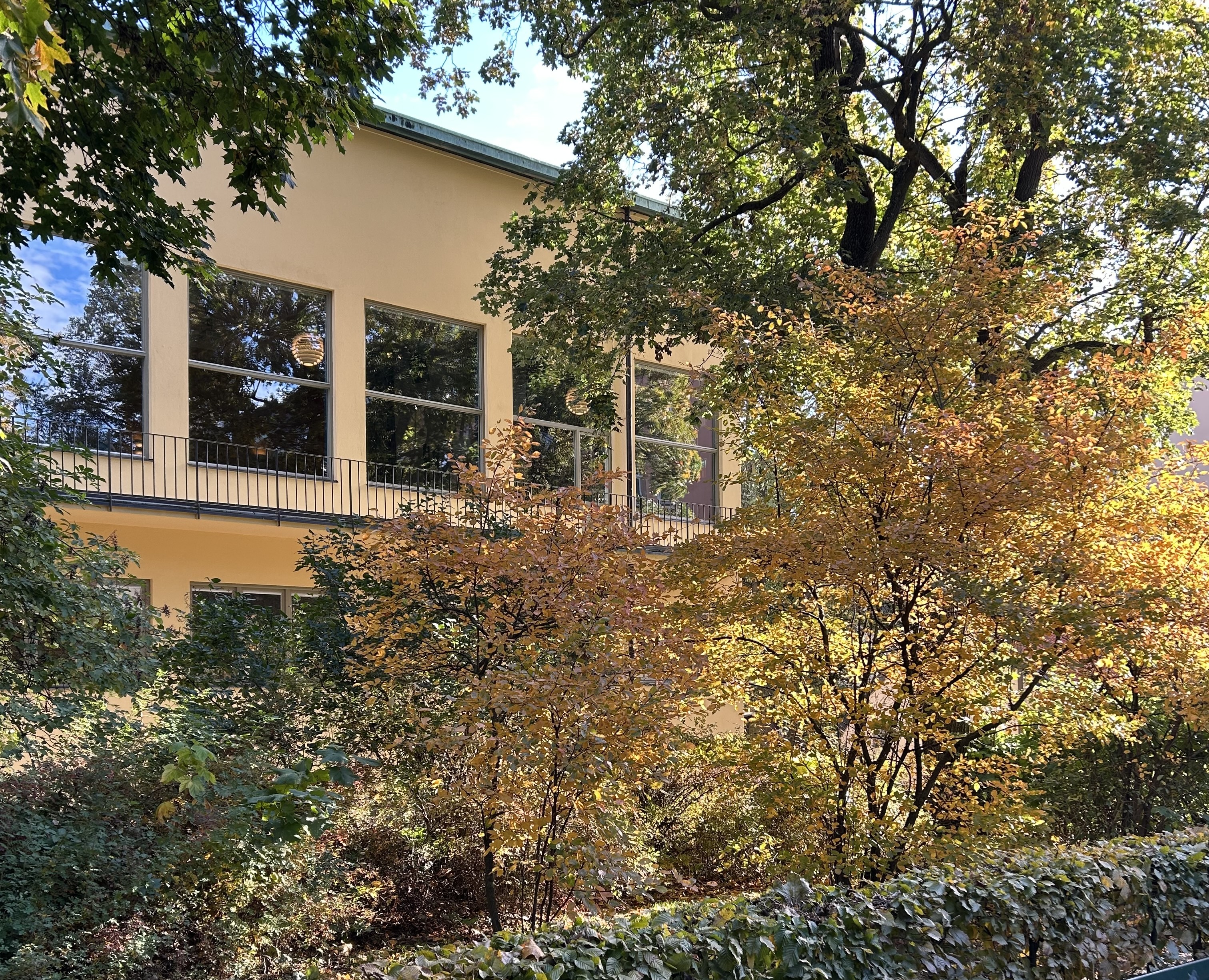 Holländargatan in Autumn Tones
