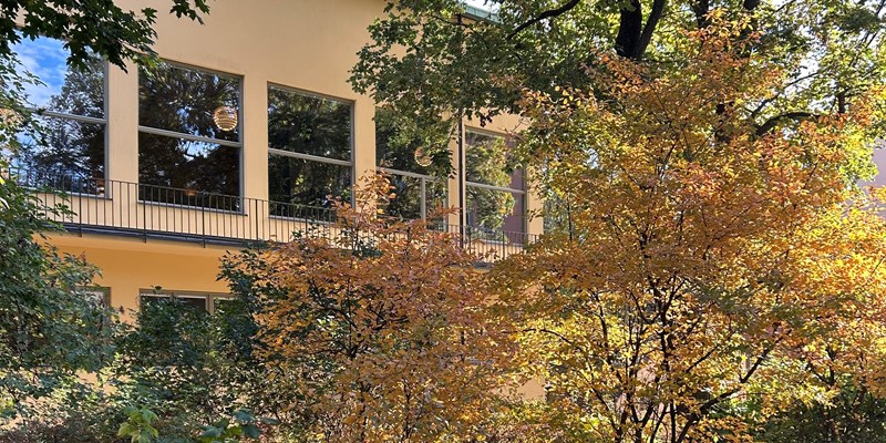 Holländargatan in Autumn Tones