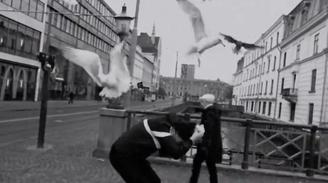man attacked by seagulls, still from Barbrosson film