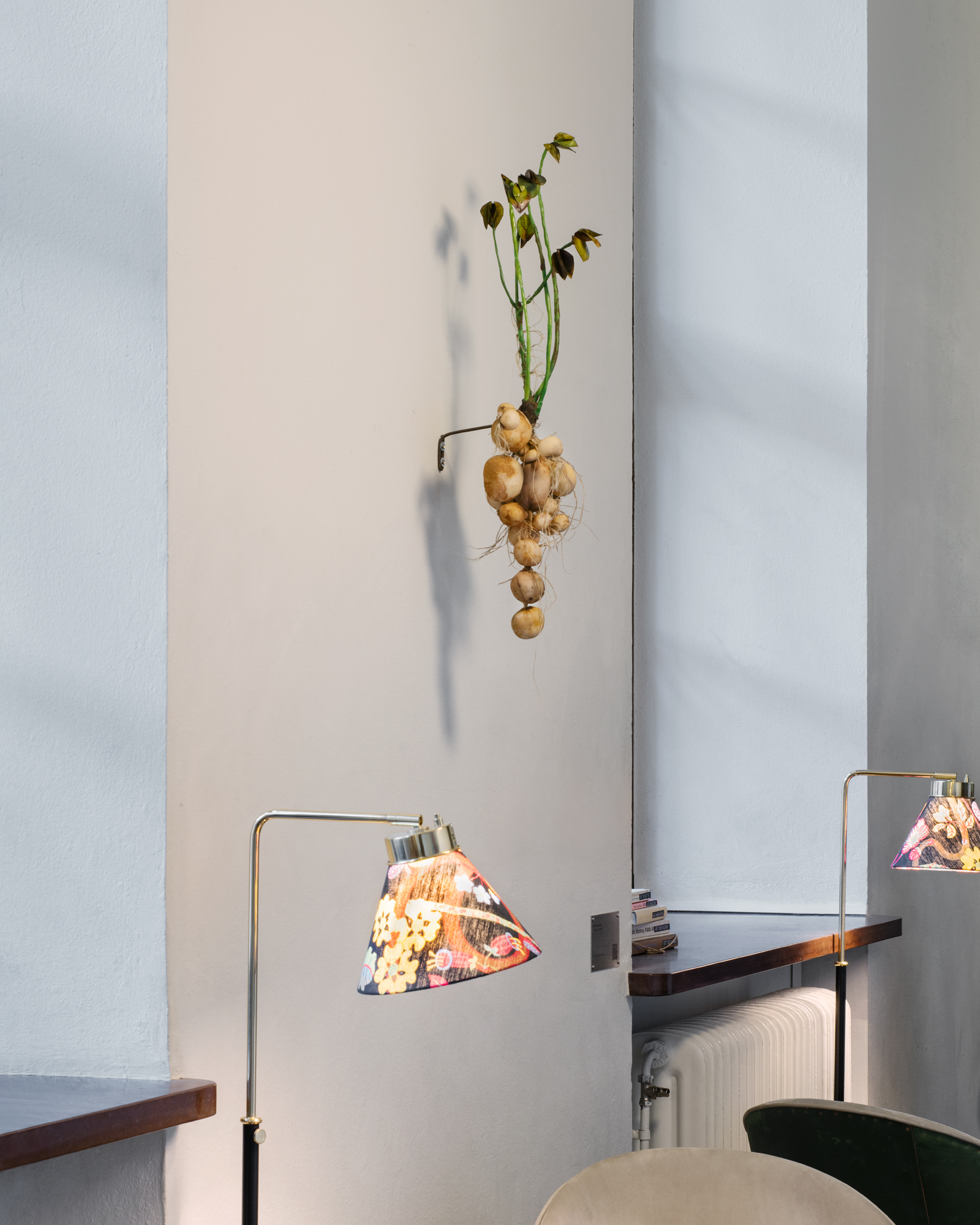 Solanum V, Moa Israelsson, installation view