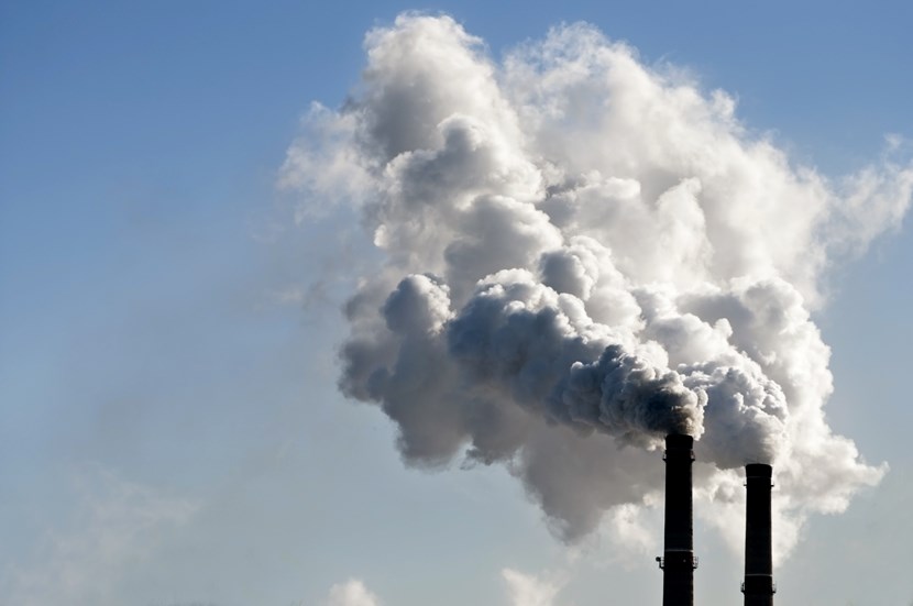 Carbon funds: LVMH raises €6 million