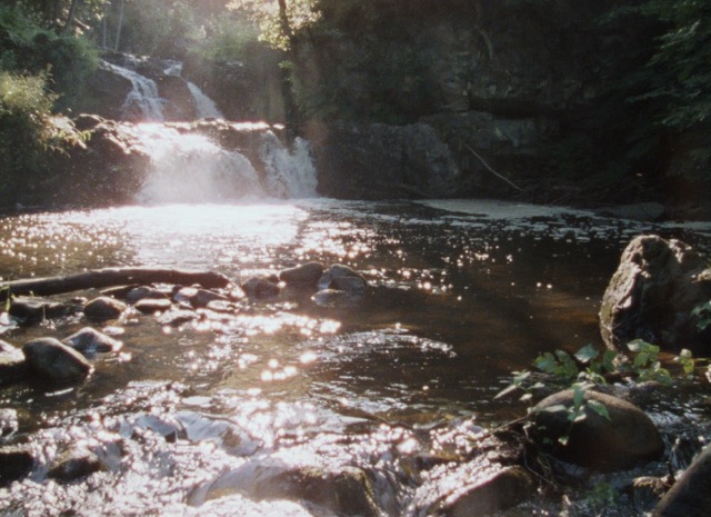 Still from Claes Söderquist's film Landskap, showing sunlight on a stream in a Skåne forest