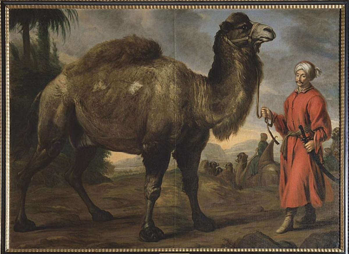 David Klöcker Ehrenstrahl's 1688 painting Camel with Driver, showing a camel and its attendant in a landscape