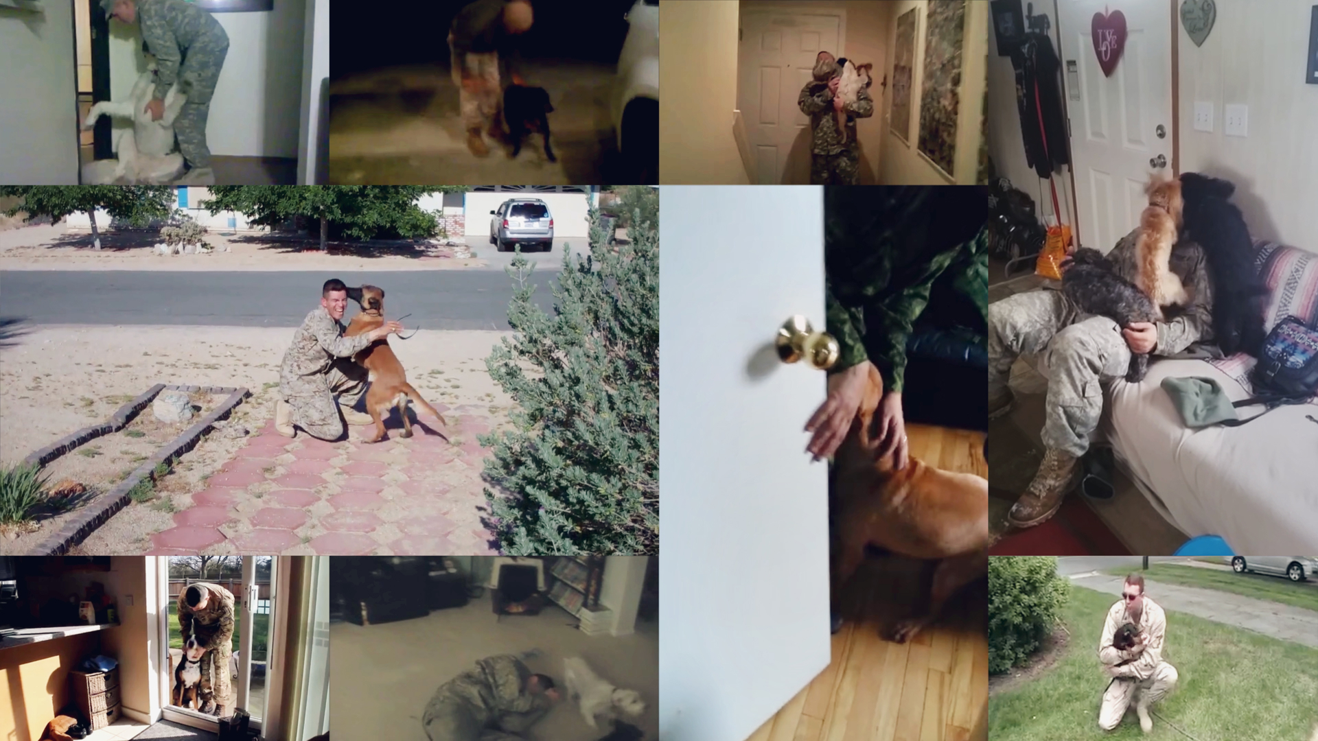 Still from Emmanuel Van der Auwera's video HOME, showing a Gulf War veteran greeted by a dog