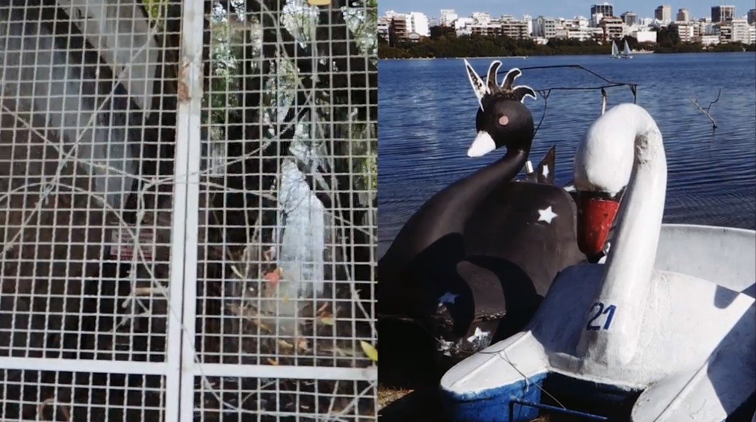 Still from Mats Hjelm's two-channel video, showing the paired images that run side by side on the atrium screen.