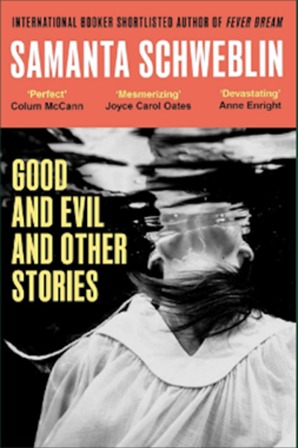 Samanta Schweblin, Good and Evil and Other Stories (Det goda onda). Original language: Spanish.