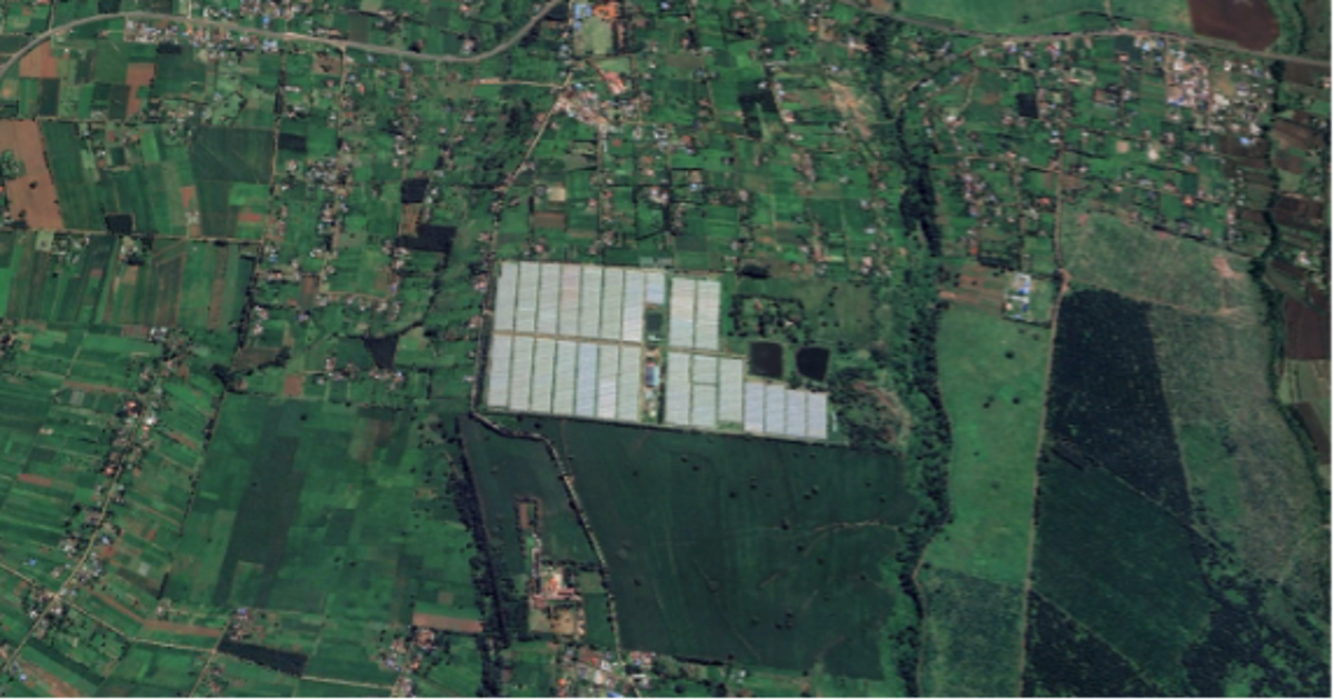 Satellite image of a huge greenhouse.